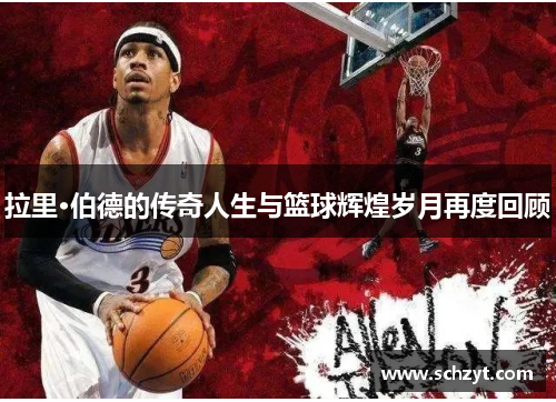 拉里·伯德的传奇人生与篮球辉煌岁月再度回顾 拉里·伯德的传奇人生与篮球辉煌岁月再度回顾