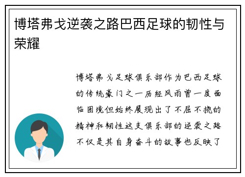 博塔弗戈逆袭之路巴西足球的韧性与荣耀