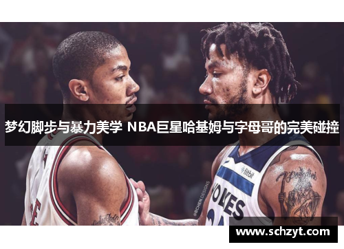 梦幻脚步与暴力美学 NBA巨星哈基姆与字母哥的完美碰撞 梦幻脚步与暴力美学 NBA巨星哈基姆与字母哥的完美碰撞