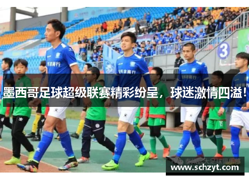 墨西哥足球超级联赛精彩纷呈,球迷激情四溢! 墨西哥足球超级联赛精彩纷呈,球迷激情四溢!